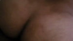 1000243517