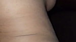 1000243516