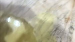 Stripchat Kanishka45