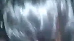 Aunty show her huge boobs  give Blowjob