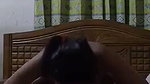 Girlfriend riding hard  moan