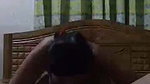 Girlfriend riding hard  moan