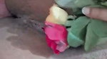 New update awesome looking aunty showing her huge boobs