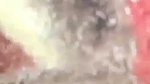 1000244442