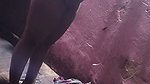1000244436