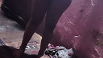 1000244435
