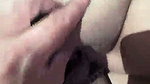 Local sex video of a lady riding on a big Indian