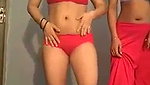 Punjabi nude girls dance in front of their clients