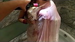 Sexy video of an Indian wife teasing her husband