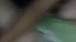 Watch Desi bhabhi sexy fucking with her recent