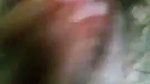 Watch Hot horny angel masturbating mms porn