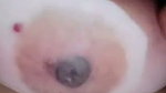 Aunty show her boobs  pussy on vc