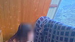 Bhabhi enjoying her second honeymoon