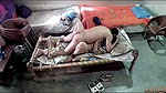 Bhabhi fuck with neighbor uncle