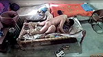 Bhabhi fuck with neighbor uncle