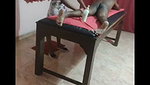Hot girl giving massage  Handjob