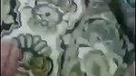 Shy bhabhi showing