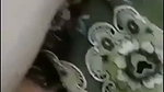 Shy bhabhi showing