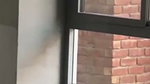 University Couple Risky Outdoor