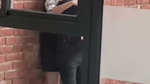 University Couple Risky Outdoor