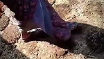 VID 20260729 133935