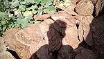 VID 20260729 133935