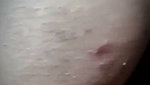 VID 20260729 154438