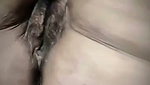VID 20260729 154438