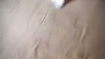 VID 20260729 134232