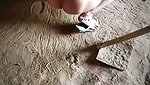 VID 20260729 134232