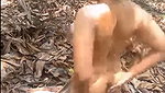 Stripchat Tamil girl orgasam