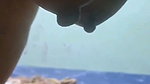 Aunty show her boobs  fuck in Doggy