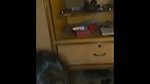 Mumbai sexy girl rough fucking hard