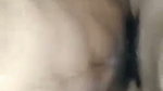 hairy pussy gf fucked