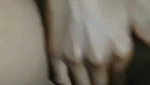 1000245965