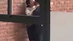 desi collage lovers caught kissing rubbing