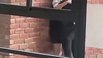 desi collage lovers caught kissing rubbing