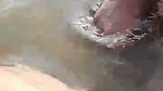 desi teugu aunty uncle romance in river