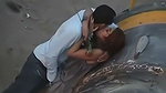 public hory hard fingering