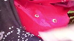 Bhabhi give Blowjob  bang her hard on floor