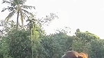 Hot Girl Playing in Pond