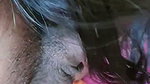 HD sex video of a sexy IT girl from Hyderabad