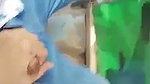 Hijabi girl gives an outdoor blowjob on a riding