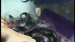 Dick hungry girlfriend sucking boyfriend