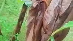 Girlfriend enjoying with bf outdoor