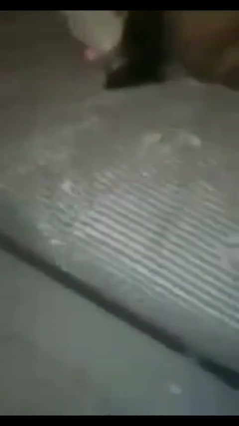 Frame 3
