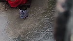 Bhabhi taking bath outdoor  devar seeing