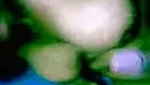 Tamil aunty showing  fuck