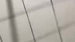 Couple fucking in toilet