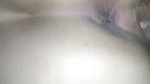 VID 20260505 WA0040